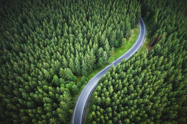 luftaufnahme der bergstraße in einem grünen wald - wald stock-fotos und bilder