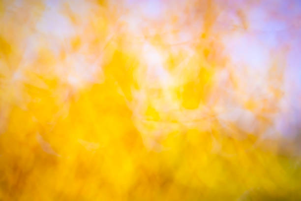 Abstract autumn background, falling leaves from trees. Photo effect.