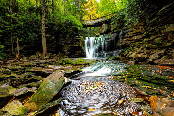 elakala waterfall in blackwater falls state park in west virginia in fall autumn season with colorful leaves foliage over bridge and swirling pool stream unique nature - rapid appalachian mountains autumn water imagens e fotografias de stock