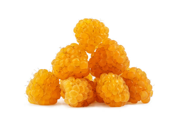 istock a bunch of ripe yellow raspberries, isolate on a white background 1330601382