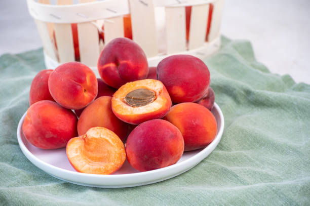 New harvest of fresh ripe red apricots in Provence, France New harvest of fresh ripe sweet red apricots in Provence, France valence drôme stock pictures, royalty-free photos & images