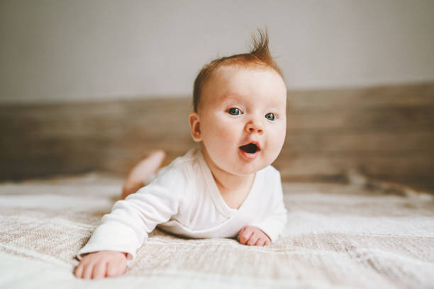 Cute baby infant crawling at home curious child portrait family lifestyle 3 month old girl kid stock photo
