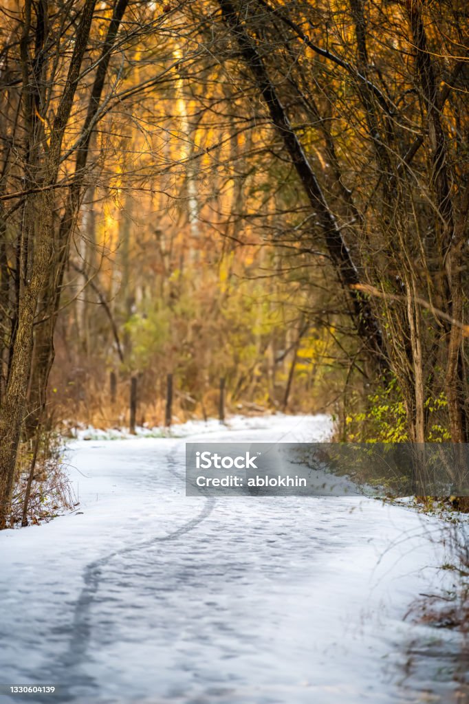 Fairfax County Sugarland Run Stream Valley Trail with vertical view of trail path through forest and winter trees in frozen snow winter weather road Virginia - US State Stock Photo