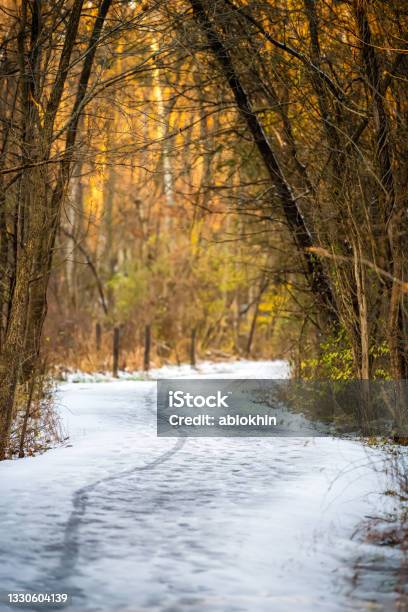 Fairfax County Sugarland Run Stream Valley Trail With Vertical View Of Trail Path Through Forest And Winter Trees In Frozen Snow Winter Weather Road Stock Photo - Download Image Now