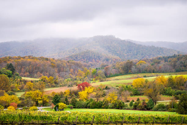 Autumn fall orange foliage season rural countryside landscape at Charlottesville winery vineyard in blue ridge mountains of Virginia with cloudy sky and rolling hills stock photo