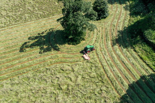 istock Careful navigation around trees during hay mowing 1330605090