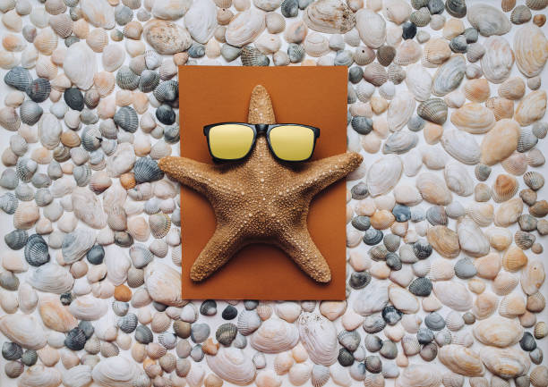 ein lustiger brauner seestern (promi) in sonnenbrille liegt auf einem handtuch auf den muscheln und bräunt. sommerurlaub, reise- und tourismuskonzept. blick von oben. - ochre sea star stock-fotos und bilder