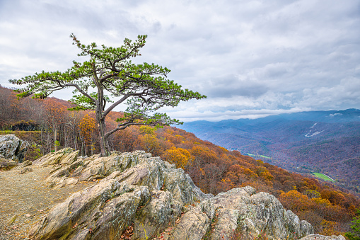 Scenery of Foothills Parkway in Spring, Great Smoky Mountains National Park, USA