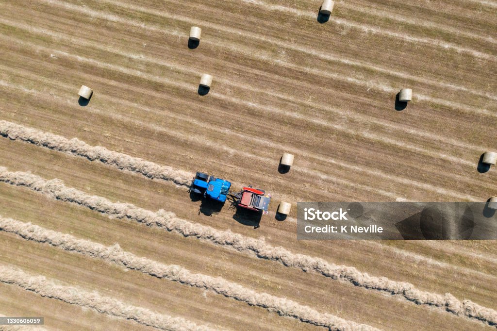 Carefully following lines of dried grass for hay baling A drone point of view, looking down at a farmer driving a blue tractor, that is towing red a hay baler. Lines of dried cut grass, are being fed into the baler and being made into large round bales of hay, that will be used as winter feed for livestock. There are beautiful patterns of harvesting that can only be seen from above. Agricultural Field Stock Photo