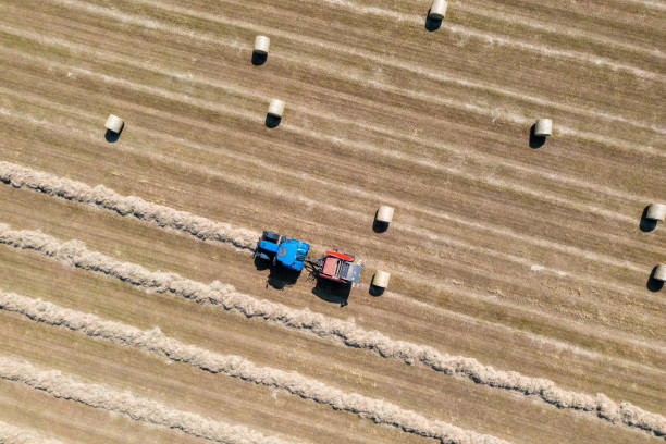 Carefully following lines of dried grass for hay baling A drone point of view, looking down at a farmer driving a blue tractor, that is towing red a hay baler. Lines of dried cut grass, are being fed into the baler and being made into large round bales of hay, that will be used as winter feed for livestock. There are beautiful patterns of harvesting that can only be seen from above. hay baler stock pictures, royalty-free photos & images