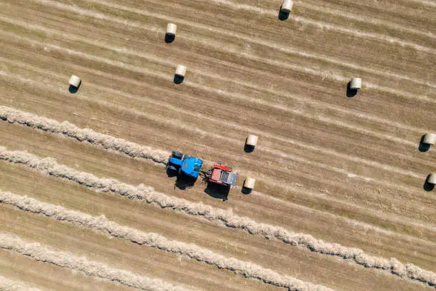 Photo of Carefully following lines of dried grass for hay baling