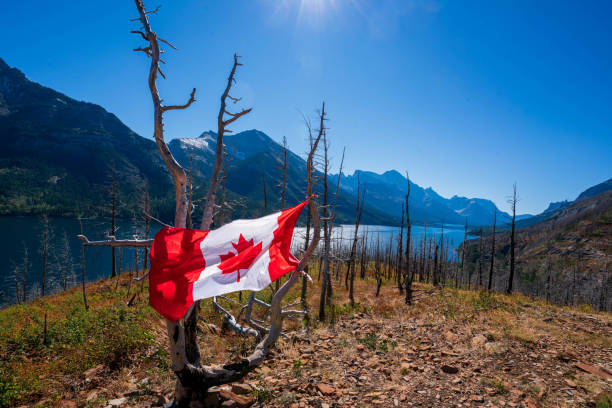 istock Dead trees destroyed by forest fire,Waterton Lakes National Park , Canada 1330606781