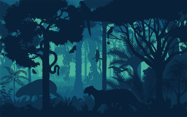 vektorabend tropischer regenwald dschungelhintergrund mit jaguar, ara ara parrrot, affe, eule, tukan und capybara - sägeracke stock-grafiken, -clipart, -cartoons und -symbole