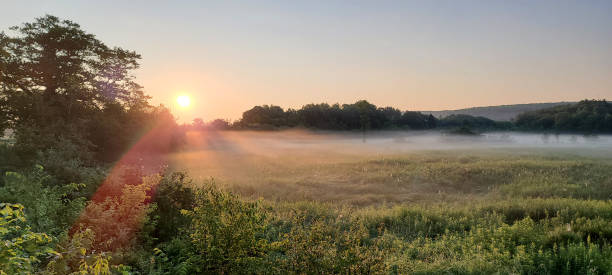 istock A Farm field with fog at sunrise 1330614204