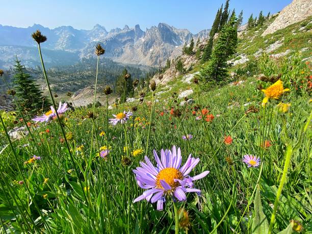 istock Sawtooth Mountains of Idaho 1330615005