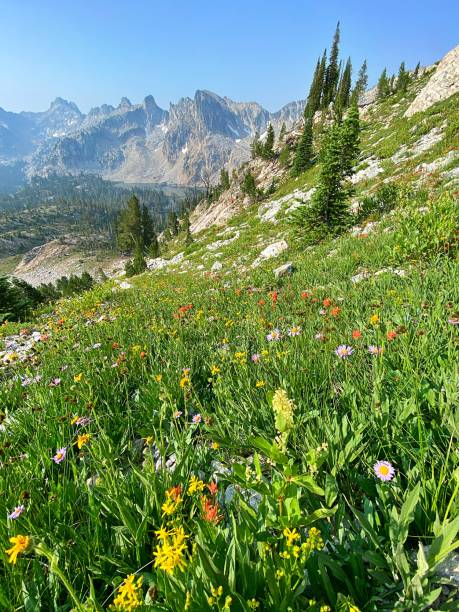 sawtooth mountains von idaho - sawtooth national recreation area stock-fotos und bilder