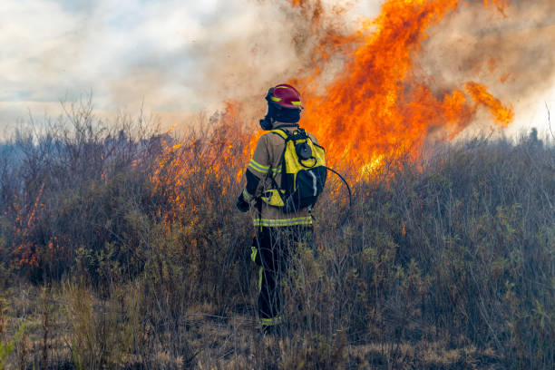 istock Firefighter trying to put out a forest fire 1330615753