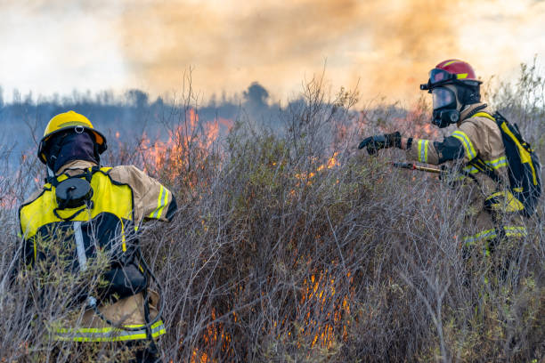 istock Firefighters put out a fire in the forest 1330615761