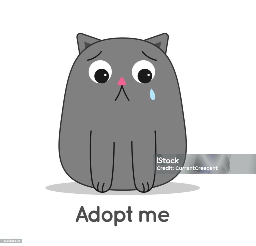 Mèo Buồn Khóc Bên Dưới Dòng Chữ Nhận Nuôi Tôi Hình minh họa Sẵn có ...