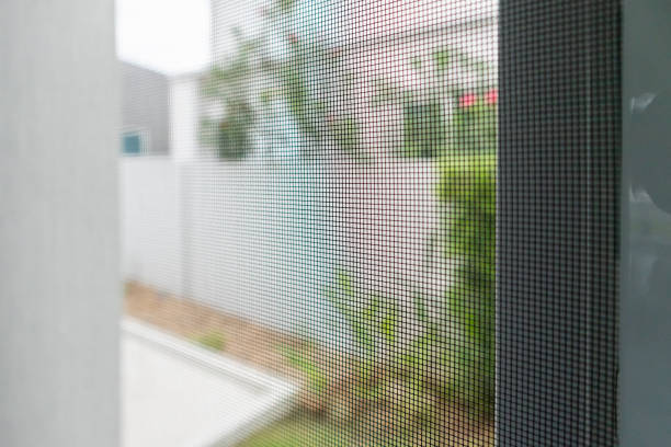 昆虫に対して家ウィンドウ保護蚊帳金網 - mosquito mosquito netting protection insect ストックフォトと画像