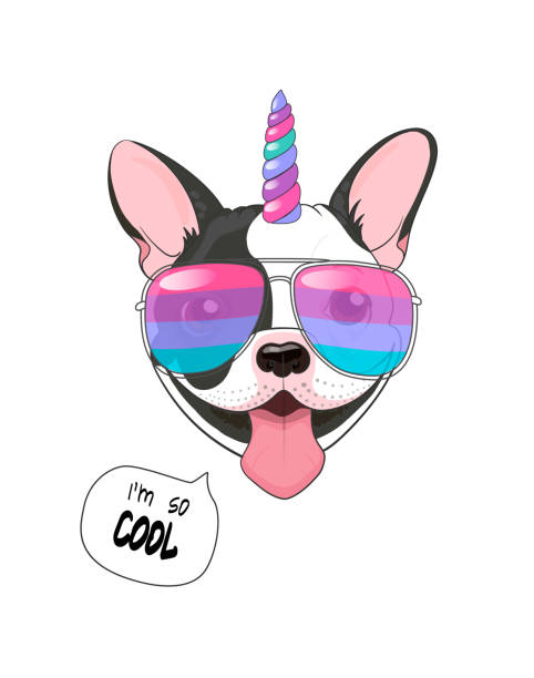 ilustraciones, imágenes clip art, dibujos animados e iconos de stock de cartel divertido. bulldog francés con cuerno colorido y gafas arco iris, con la cita i'm cool. ilustración vectorial unicornio-perro, 
aislado sobre fondo blanco - dog smiling animal tongue pink