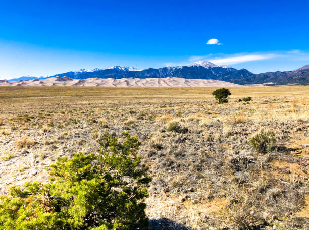 istock Great Sand Dunes National Preserve, Colorado 1330622171