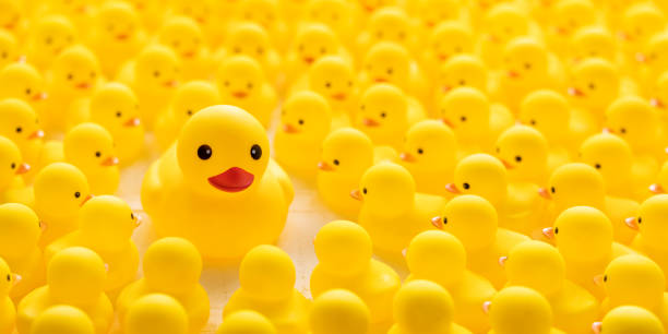 istock One large different yellow rubber duck standing out from the crowd, among a large group of yellow rubber ducks who are staring at the larger duck. 1330625991