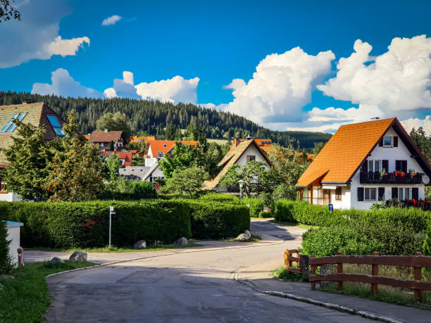 istock Neighborhood in Schluchsee 1330626317
