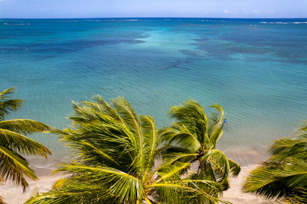 istock Beach in Dorado, Puerto Rico 1330628526