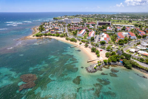 istock Dorado Beach, Puerto Rico 1330628528