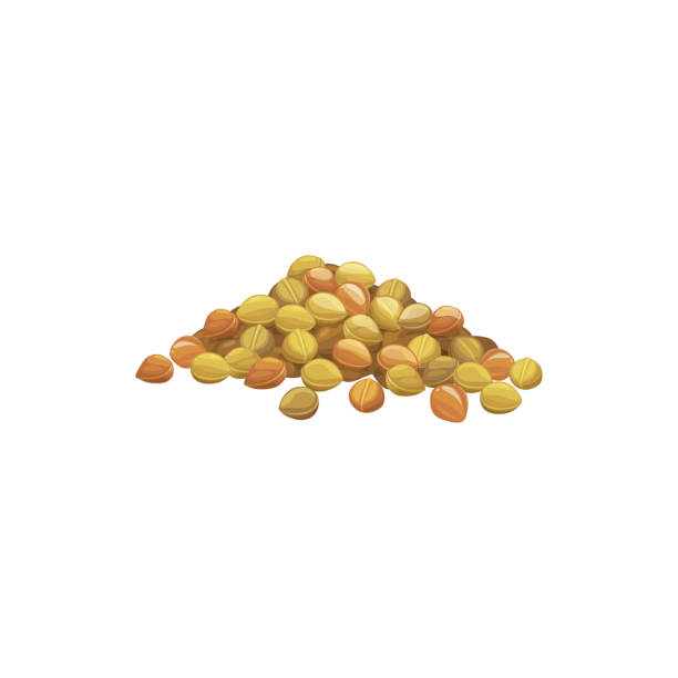 Heap of chickpeas isolated pile of soy beans Pile of chickpeas isolated heap of pea beans. Vector organic vegetarian food, soy beans in pile. Healthy dietary cowpea, superfood product. Raw uncooked dry legumes, veggies harvest, organic soya lentil stock illustrations