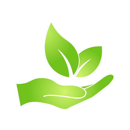 Hand with eco green leaf icon Bio nature green eco symbol for web and business. Simple flat illustration