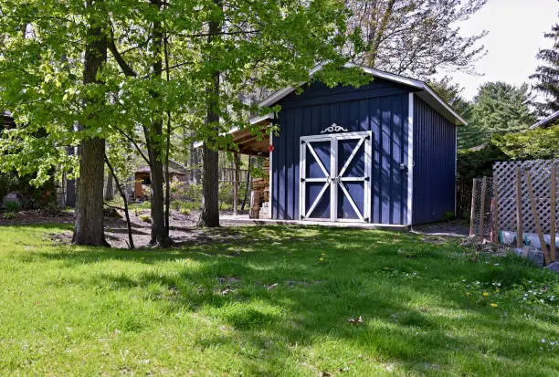 A rustic looking blue colored woodshed with white trim in a backyard surrounded by green colored lawn grass and mature maple trees.