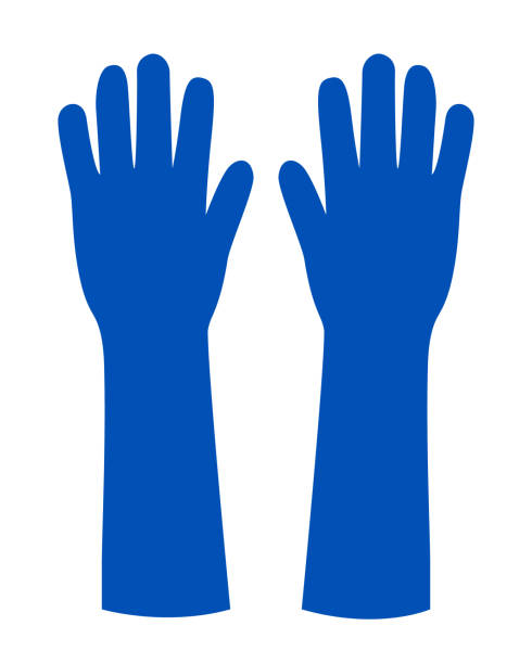 Blue Common Long Glove Template Vector On White Background Top View right handed stock illustrations