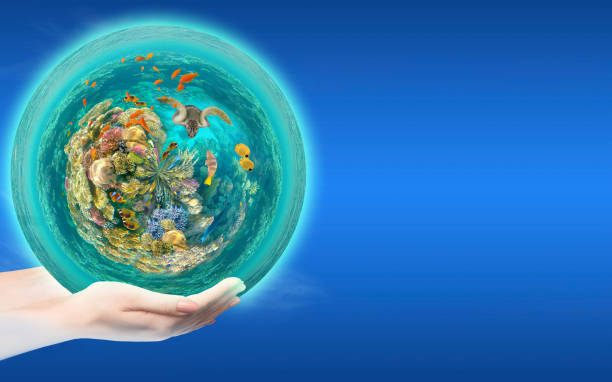 istock Globe in human hand against blue sky. 1330634722