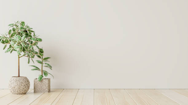 istock White wall empty interior room with plants on a floor. 1330635945