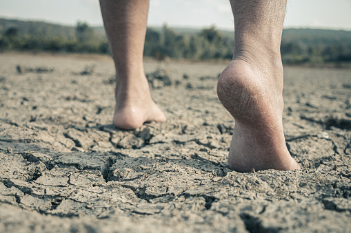 The little boy waiting for drinking water to live through this drought, Concept drought and crisis environment.