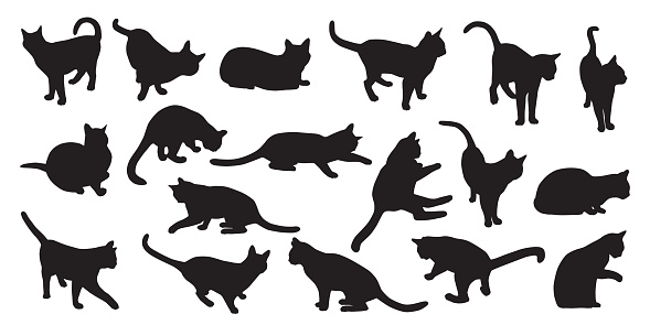 A collection of eighteen domestic cat silhouettes.