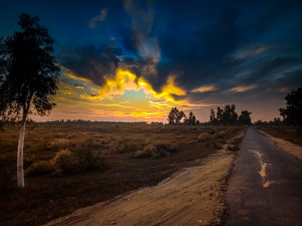 Sunset in a forest and a road