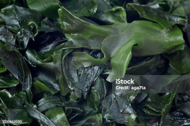 Fresh Raw Wakame Seaweed Stock Photo - Download Image Now - Wakame, Algae, Raw Food