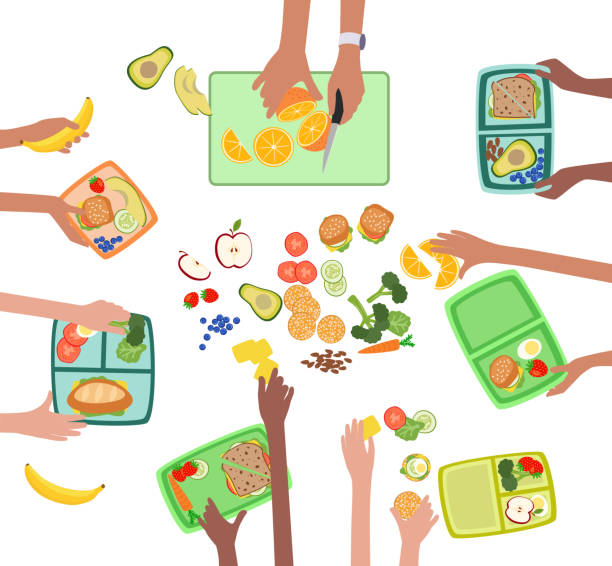 Children hands making healthy lunch for kids school lunchbox Children hands making fresh healthy lunch or picnic for kids school lunchbox grouped and layered vector easy to edit healthy eating stock illustrations