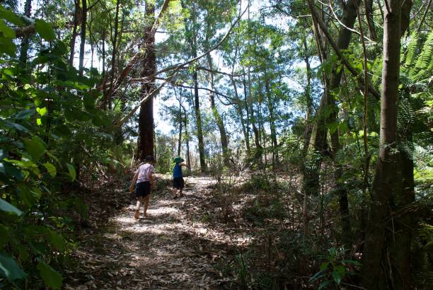 istock Young Children Run Along a Path in Nature 1330649993