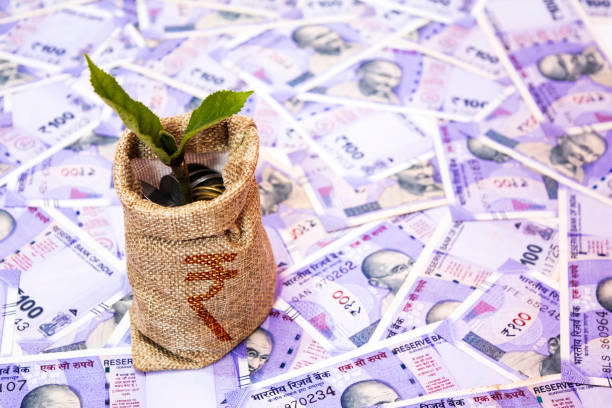 Business Money growing concept