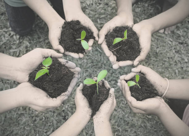 緑の草の背景の上に若い植物を保持している大人と子供の多文化の手。地球の日環境にやさしい調和を組み合わせる春の黒と白の概念 - holding hands teamwork gardening green ストックフォトと画像