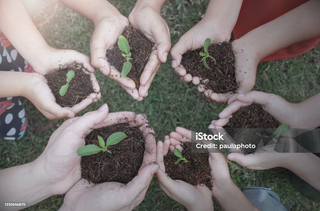 Multicultural hands of adult and children holding young plant over green grass background. Earth day environment friendly harmony together spring concept banner Day Stock Photo