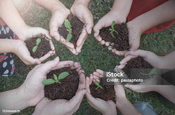 Multicultural Hands Of Adult And Children Holding Young Plant Over Green Grass Background Earth Day Environment Friendly Harmony Together Spring Concept Banner Stock Photo - Download Image Now