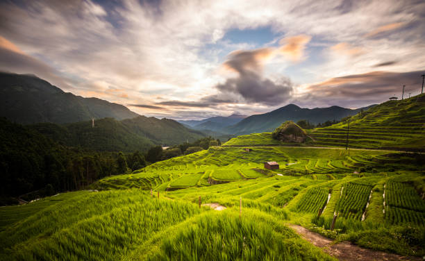 Sunset rice field terrace of Kumano, Mie pref long exposure The famous mountain rice field terraces in Kumano area of Mie Prefecture. satoyama scenery stock pictures, royalty-free photos & images