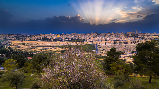 Beautiful dramatic spring sunset over Jerusalem, with Mount Zion, the Old City, the Dome of the Rock, the Golden Gate and St. Stephen Gate seen over a blossoming almond tree on Mount of Olives