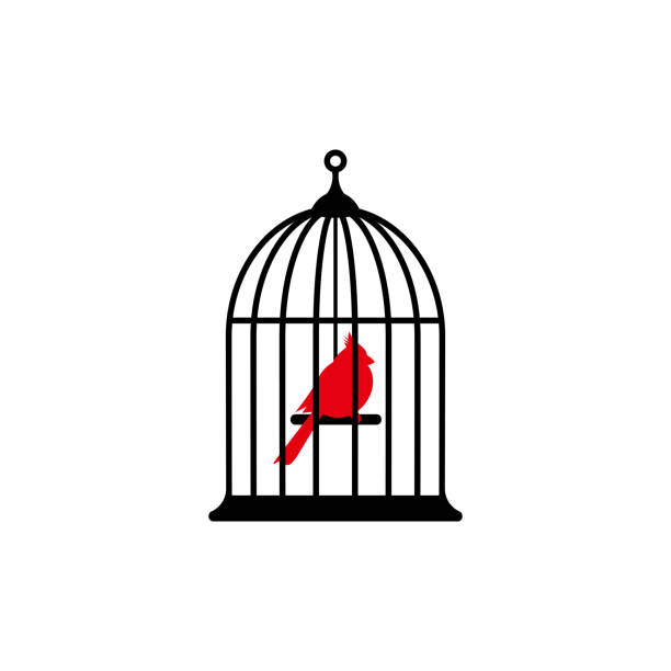 locked cage with red bird icon. trap, imprisonment, jail concept. - 鳥籠 幅插畫檔、美工圖案、卡通及圖標