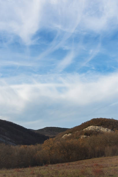 Blue sky trees without leaves. A spring landscape with a low horizon line, a beautiful sky with white clouds. The concept of solitude, solitude, tranquility. Restrained natural background. Copy space